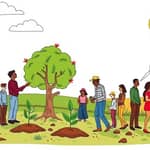 Mercados de Carbono: Invirtiendo en la Sostenibilidad Ambiental